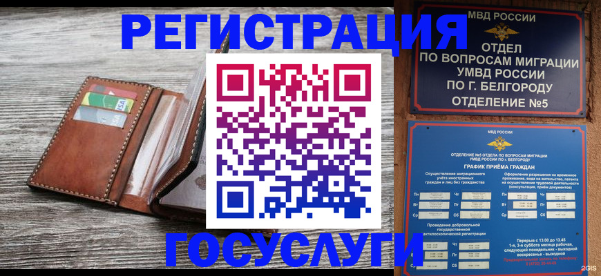 временная регистрация гарантия в Светлограде